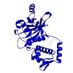 Image of CATH 1mj9