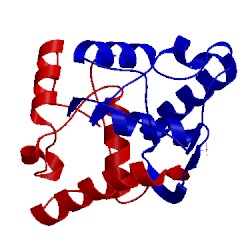 Image of CATH 1mjk