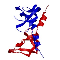 Image of CATH 1mjv