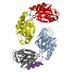 Image of CATH 1mk9