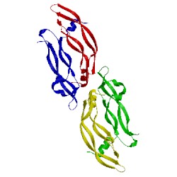 Image of CATH 1mkg