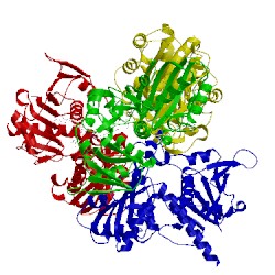 Image of CATH 1ml3