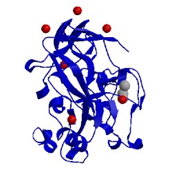 Image of CATH 1ml9