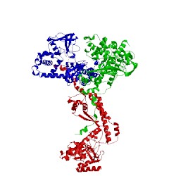 Image of CATH 1mlv