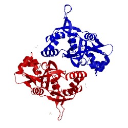 Image of CATH 1mm6