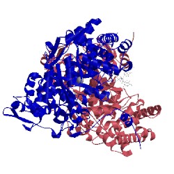 Image of CATH 1mmf