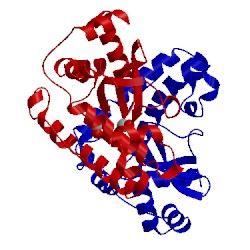 Image of CATH 1mmm