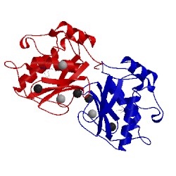 Image of CATH 1mmp