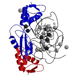 Image of CATH 1mms