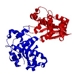 Image of CATH 1mng