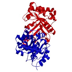 Image of CATH 1mo0