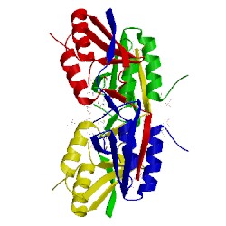 Image of CATH 1mo1