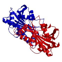 Image of CATH 1mo2