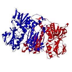 Image of CATH 1mo9