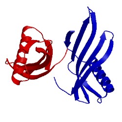 Image of CATH 1mol