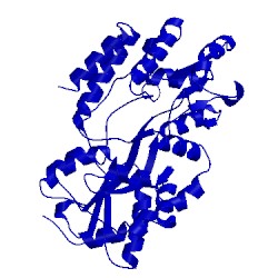 Image of CATH 1mpc