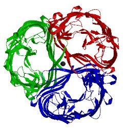 Image of CATH 1mpr