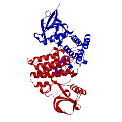 Image of CATH 1mqb