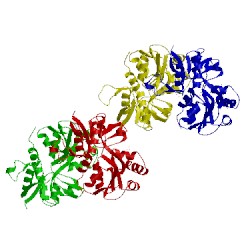 Image of CATH 1mqd