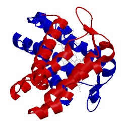 Image of CATH 1mqv