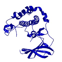 Image of CATH 1mrv