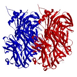 Image of CATH 1ms0