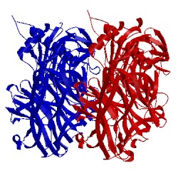 Image of CATH 1ms3