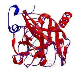 Image of CATH 1mue