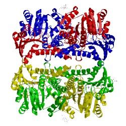 Image of CATH 1mv8