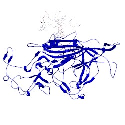 Image of CATH 1mvm