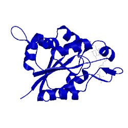 Image of CATH 1mvn