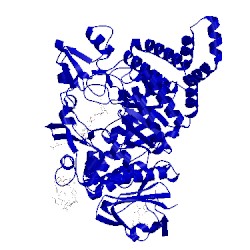 Image of CATH 1mw0