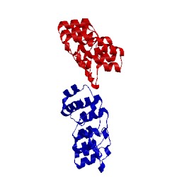Image of CATH 1mx2