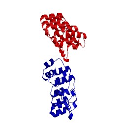 Image of CATH 1mx6