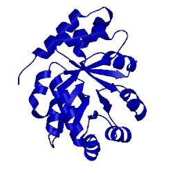 Image of CATH 1mxs