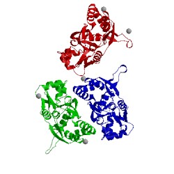 Image of CATH 1mxu