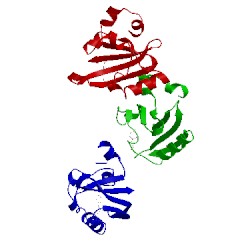 Image of CATH 1mzu