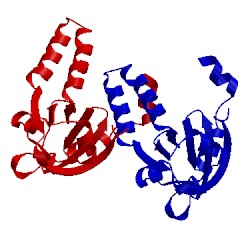 Image of CATH 1n0g