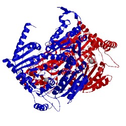 Image of CATH 1n0h