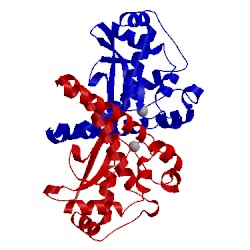 Image of CATH 1n0j