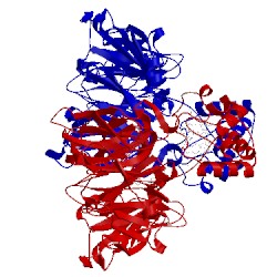 Image of CATH 1n15