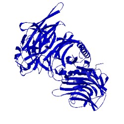 Image of CATH 1n1y