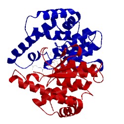 Image of CATH 1n2a