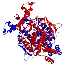 Image of CATH 1n2n