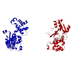 Image of CATH 1n2x