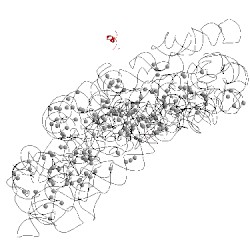 Image of CATH 1n32