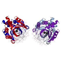 Image of CATH 1n3f
