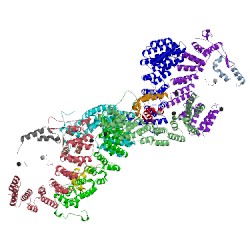 Image of CATH 1n4q