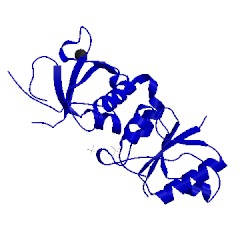 Image of CATH 1n5o