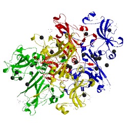 Image of CATH 1n7z